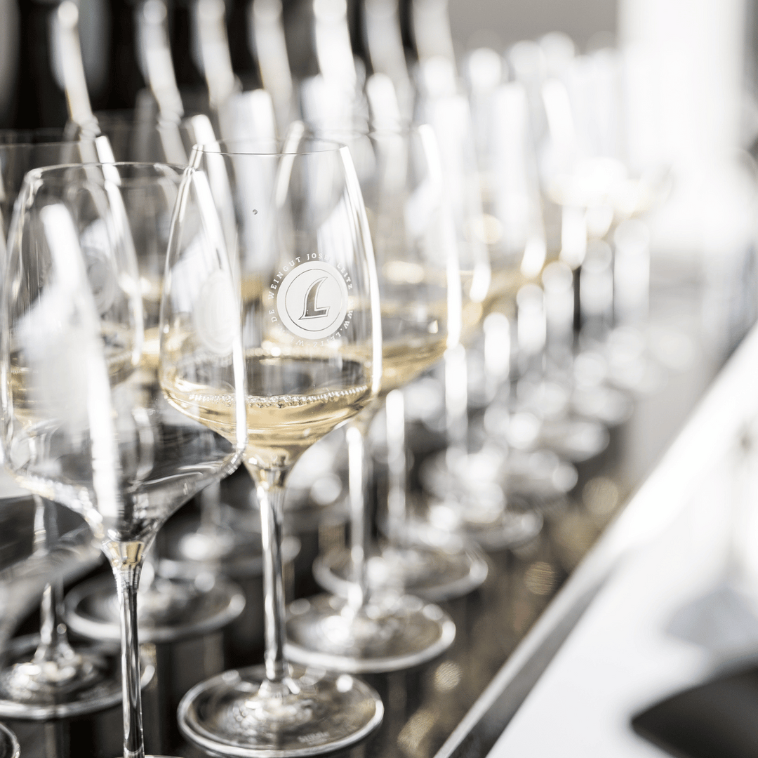 2016 BERG ROSENECK GG Rüdesheim Riesling trocken Katerloch Flasche