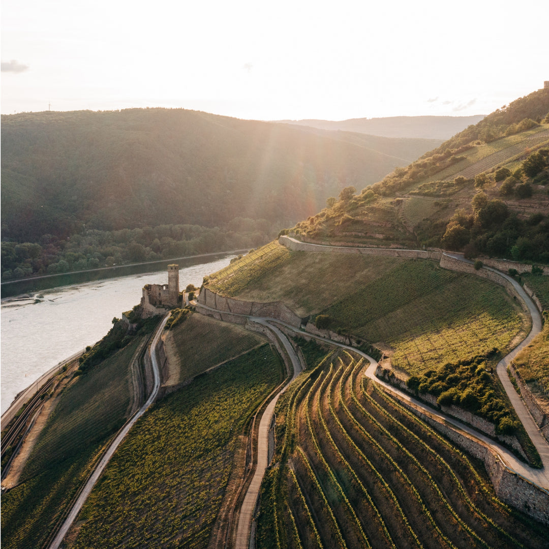 2023 BERG SCHLOSSBERG GG Rüdesheim Riesling trocken "Ehrenfels" 0,75L
