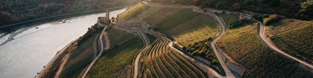 Großes Gewächs – Weingut Leitz