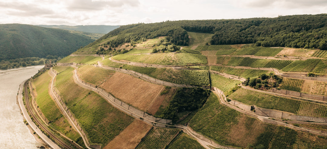 2022 BERG ROSENECK GG Rüdesheim Riesling dry Katerloch 0.75L