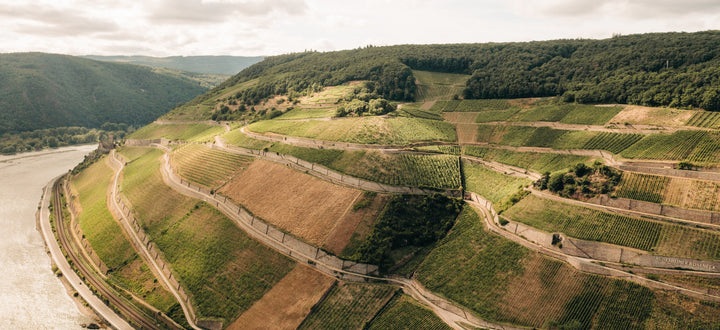 2022 BERG ROSENECK GG Rüdesheim Riesling dry Katerloch 0.75L
